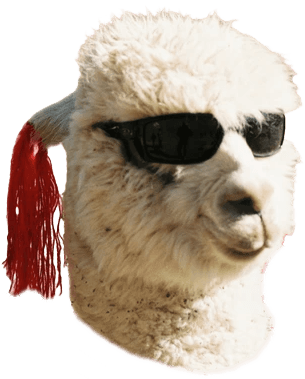 alpaca image